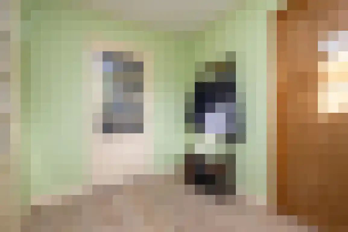 Dijkstelweg 31 Ouddorp thumbnail 24