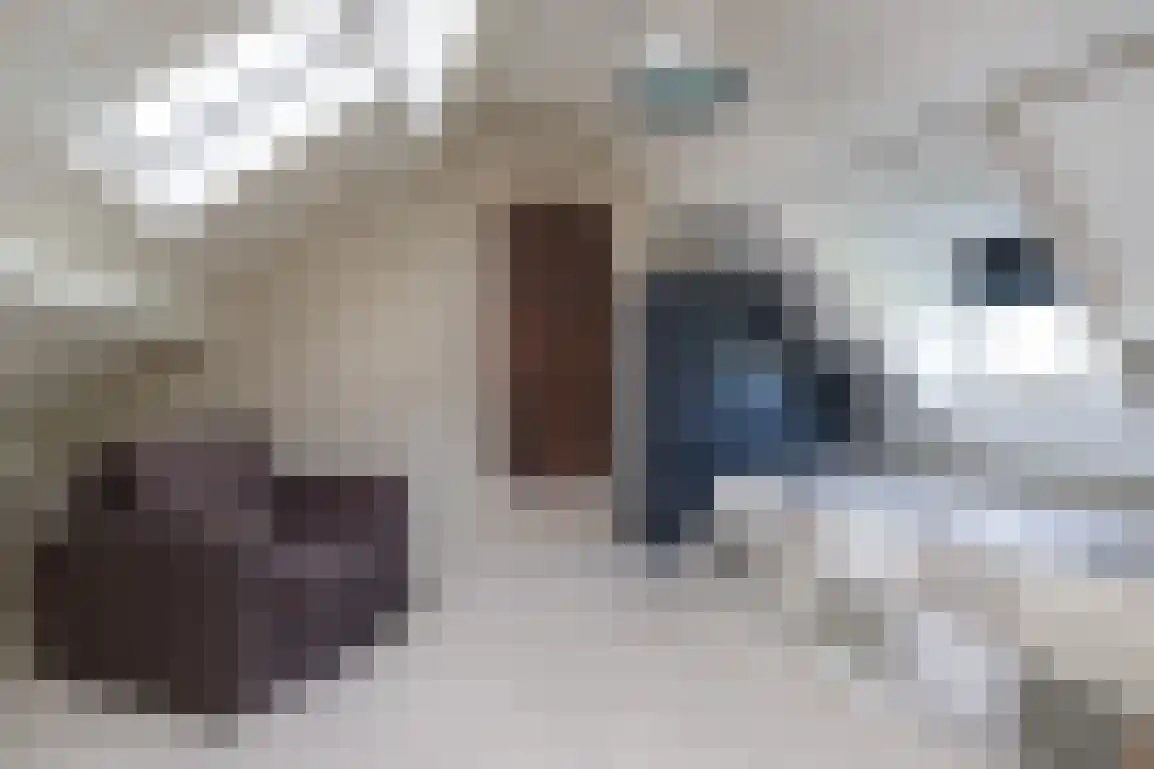 Dijkstelweg 31 Ouddorp thumbnail 36