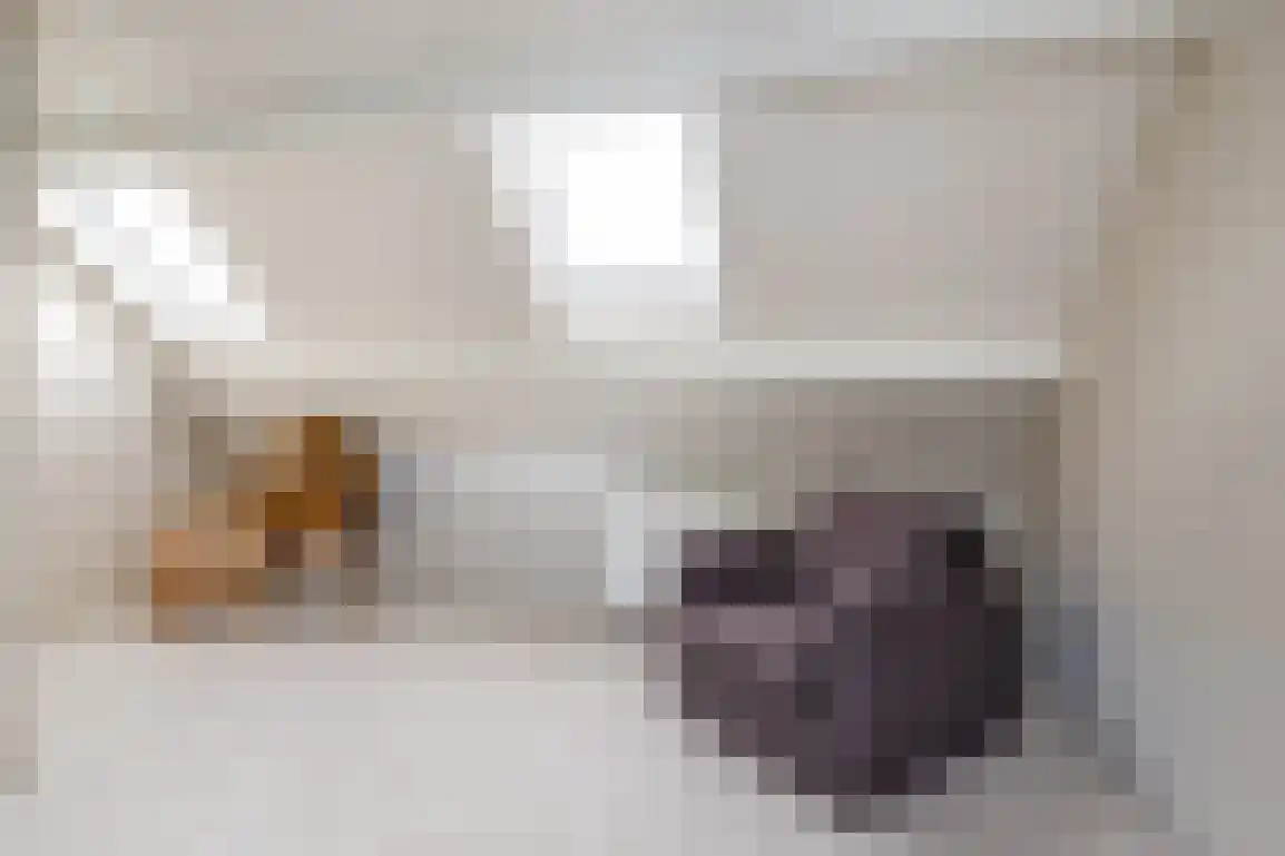 Dijkstelweg 31 Ouddorp thumbnail 37