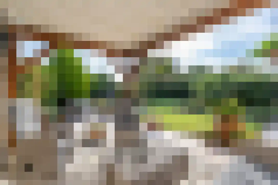 Dijkstelweg 31 Ouddorp thumbnail 43