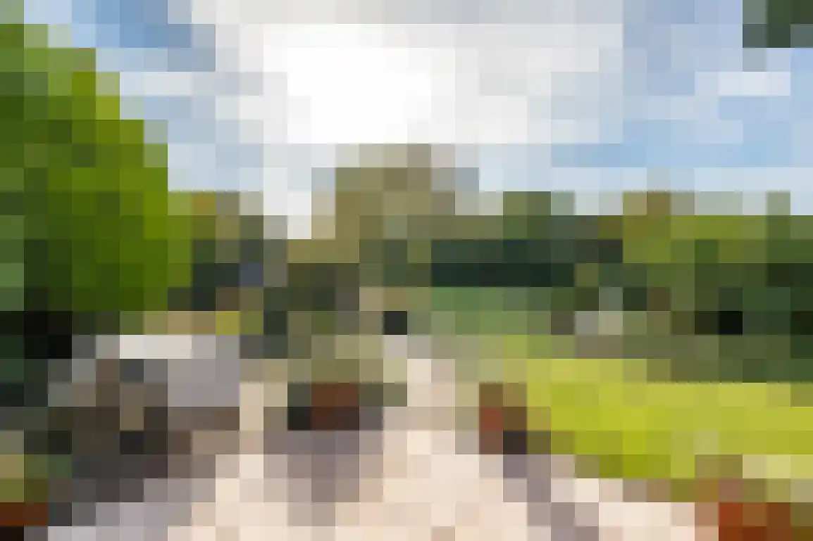 Dijkstelweg 31 Ouddorp thumbnail 45