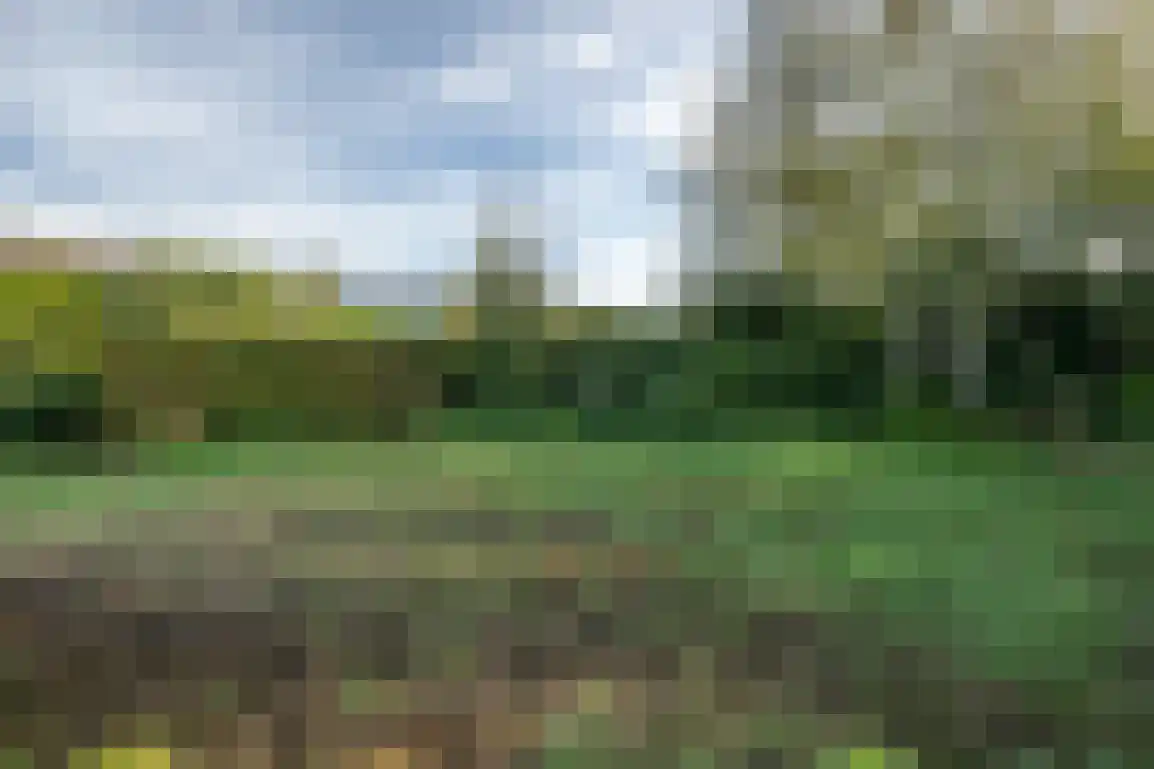 Dijkstelweg 31 Ouddorp thumbnail 46