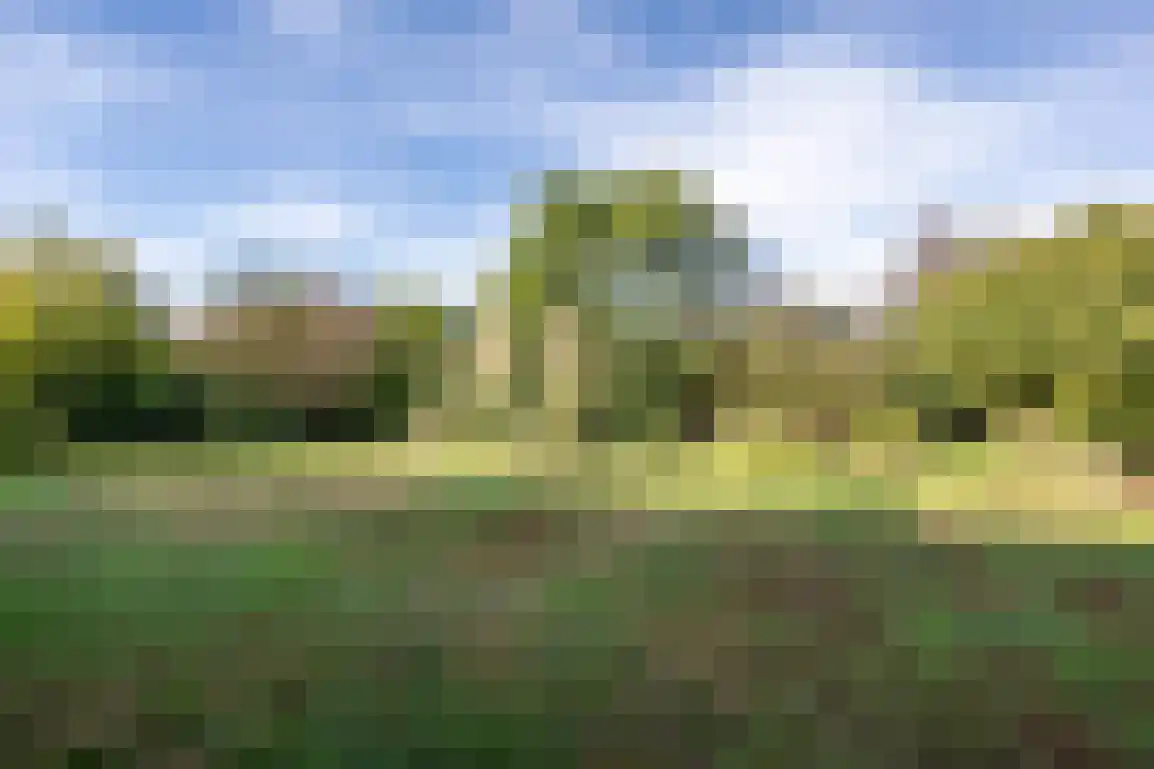 Dijkstelweg 31 Ouddorp thumbnail 48