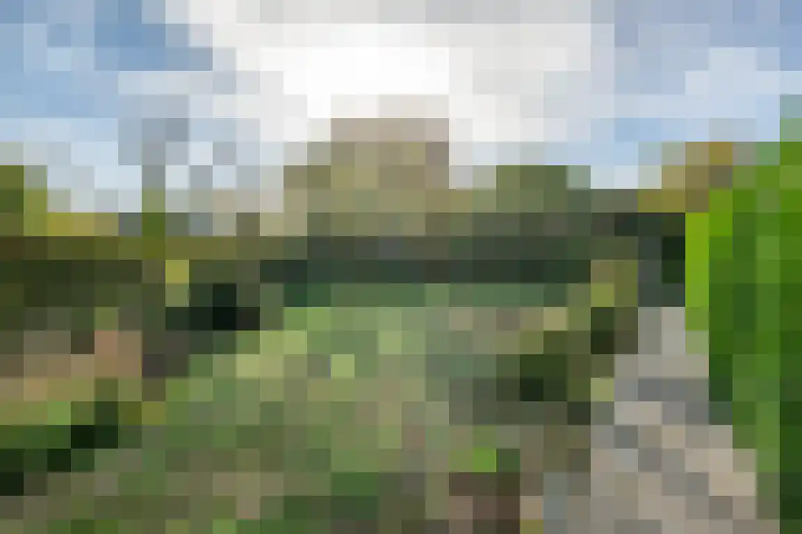 Dijkstelweg 31 Ouddorp thumbnail 49