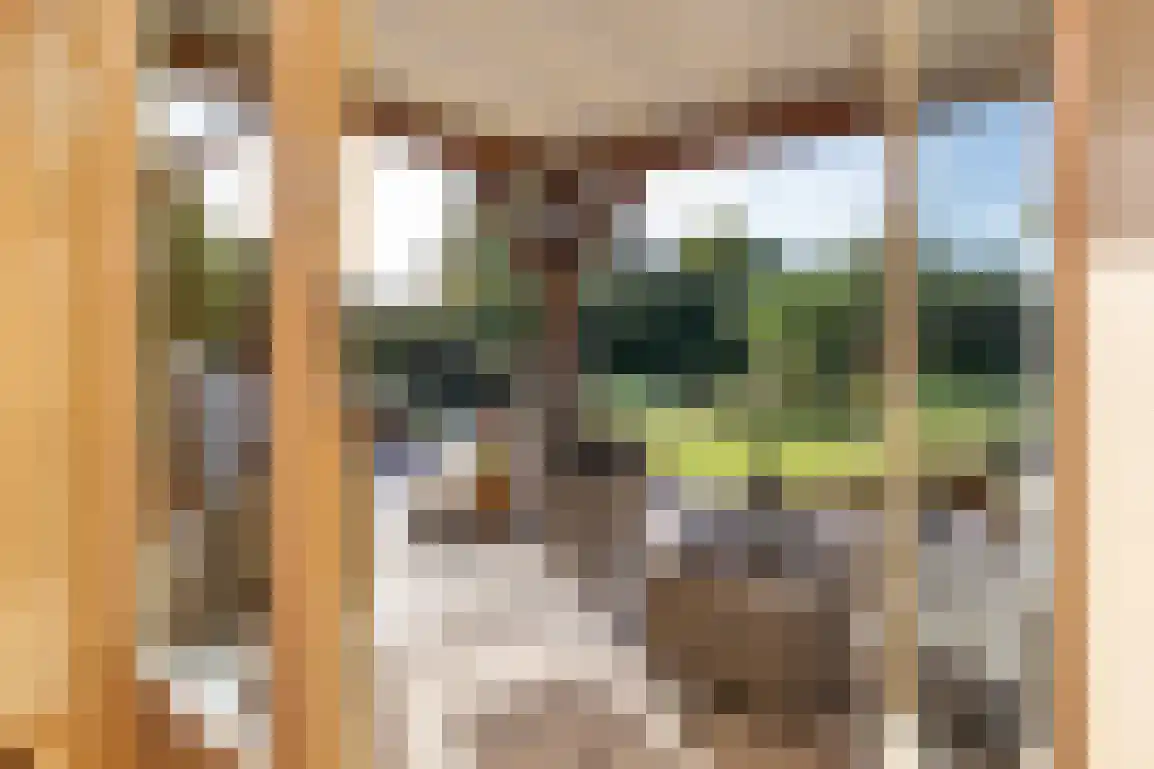 Dijkstelweg 31 Ouddorp thumbnail 5