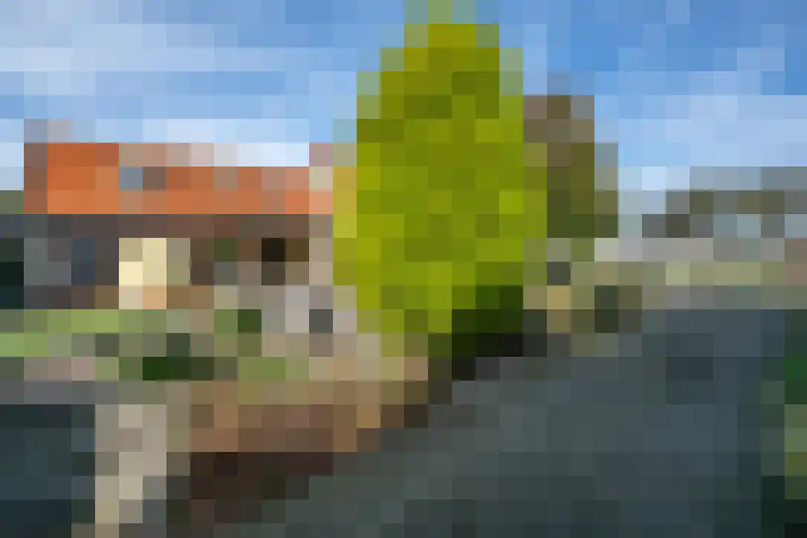 Dijkstelweg 31 Ouddorp thumbnail 53