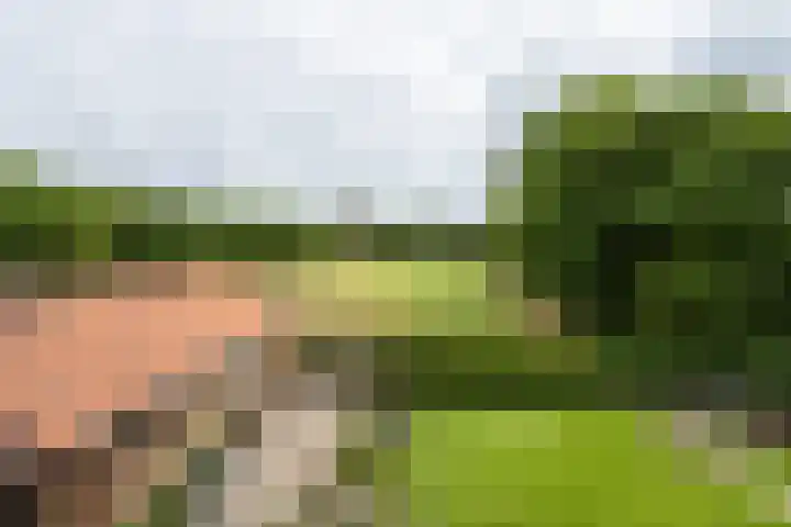 Dijkstelweg 41 Ouddorp thumbnail 25