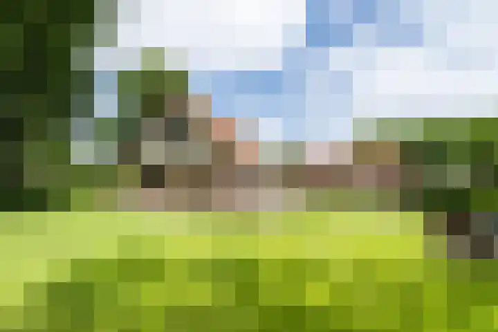 Dijkstelweg 41 Ouddorp thumbnail 28