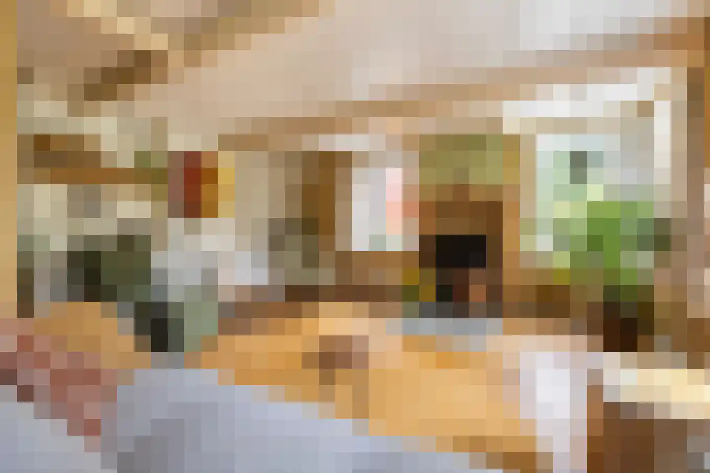 Dijksterweg 38 Kloosterburen thumbnail 17