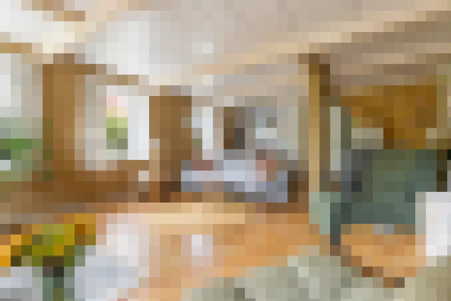 Dijksterweg 38 Kloosterburen thumbnail 18