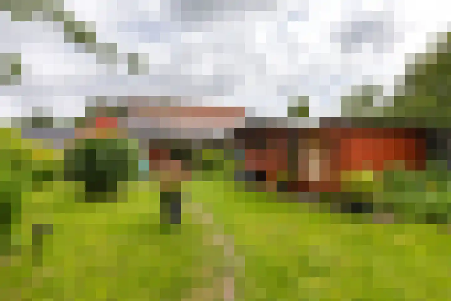 Dijksterweg 38 Kloosterburen thumbnail 42