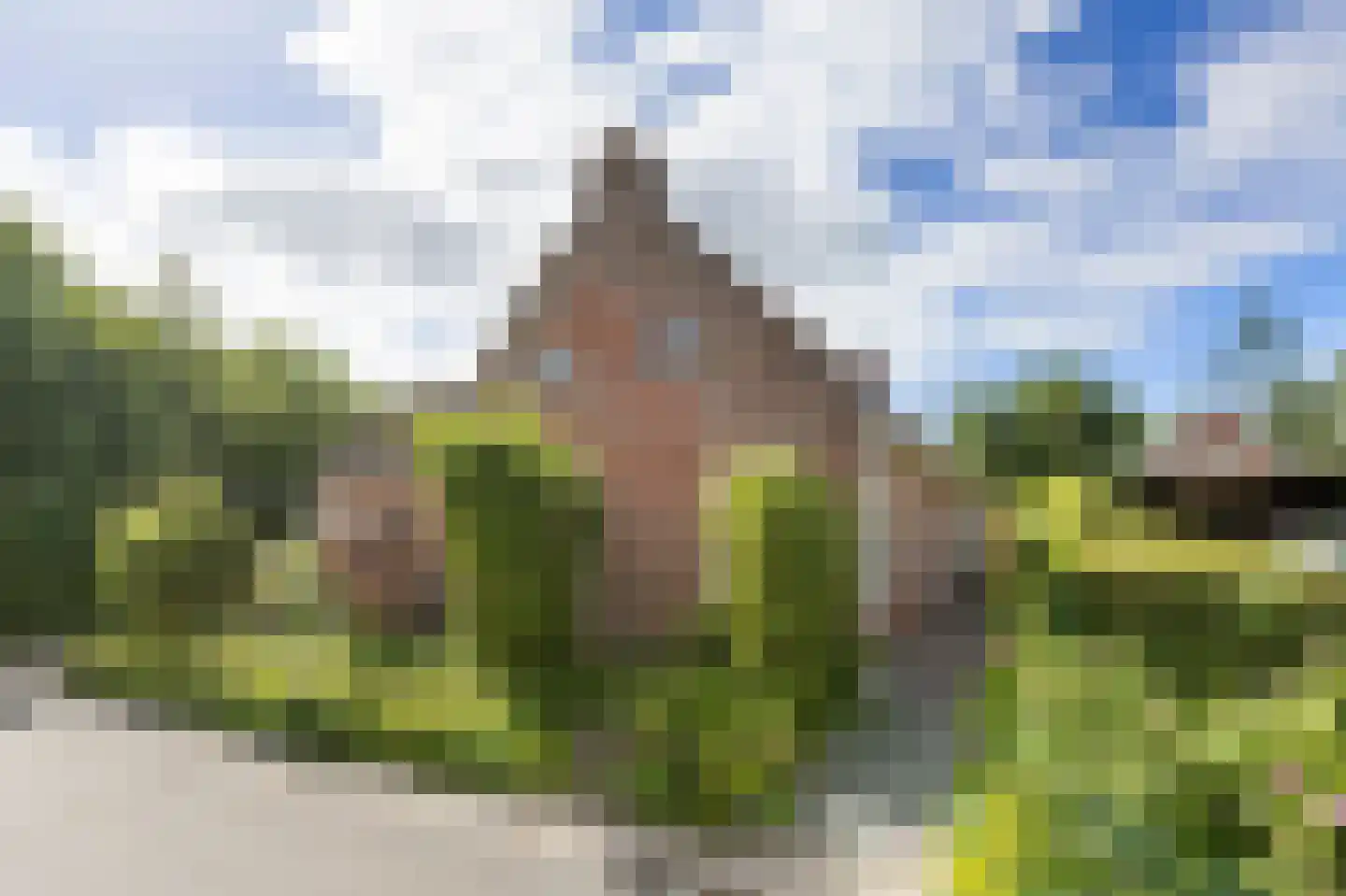 Dijksterweg 38 Kloosterburen thumbnail 7