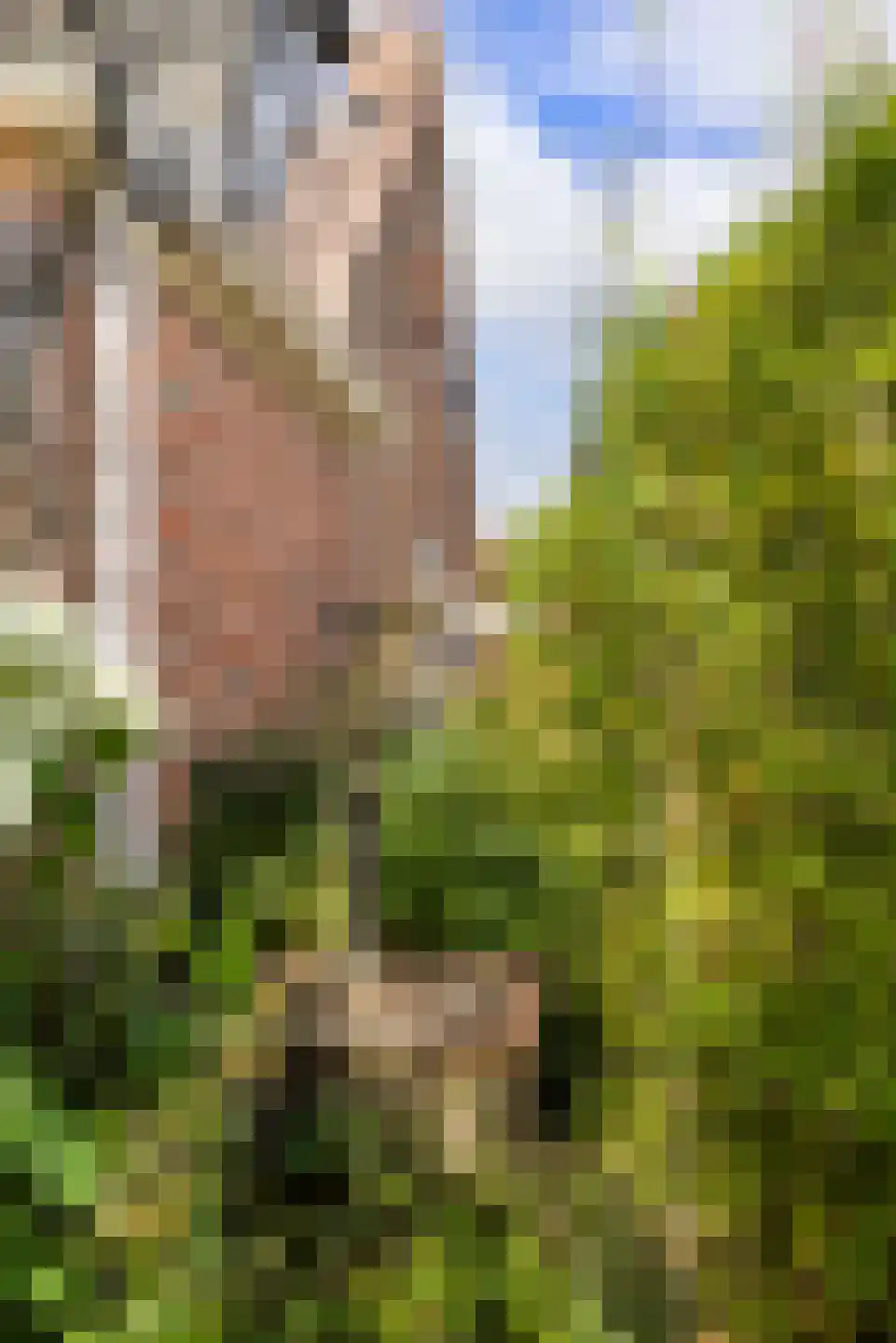 Dijksterweg 38 Kloosterburen thumbnail 8