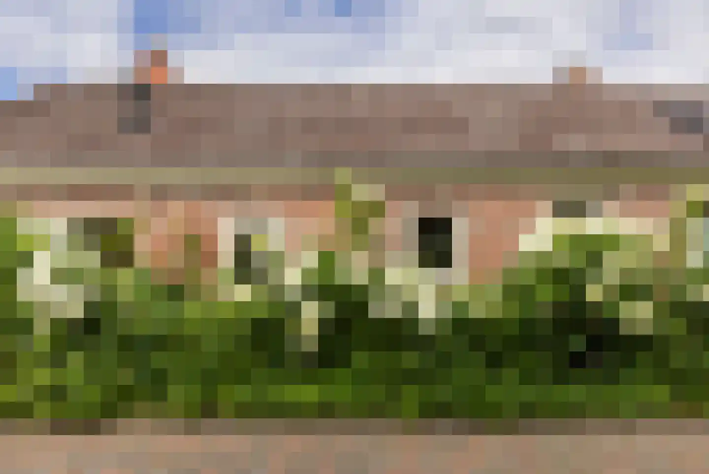 Dijksterweg 38 Kloosterburen thumbnail 9