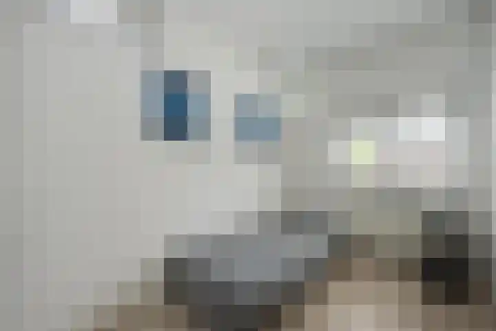Dijkstoelstraat 12 Zwolle thumbnail 27