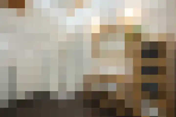 Dijkstoelstraat 12 Zwolle thumbnail 31