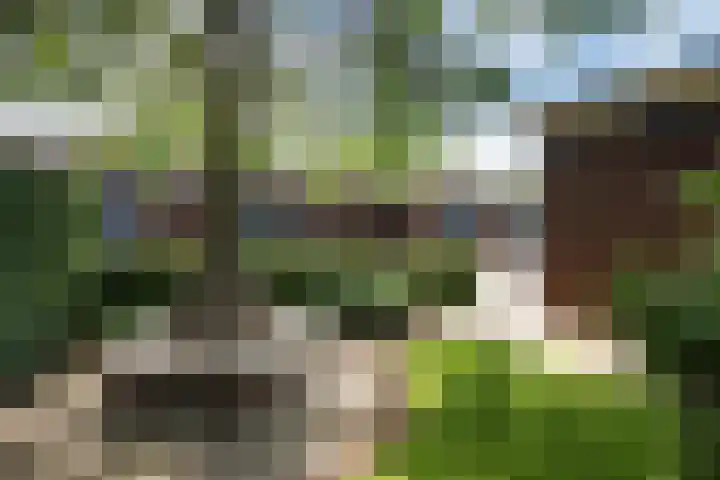 Dijkstoelstraat 12 Zwolle thumbnail 35