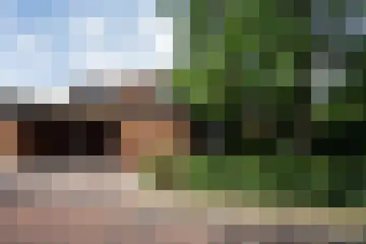 Dijkstoelstraat 12 Zwolle thumbnail 4