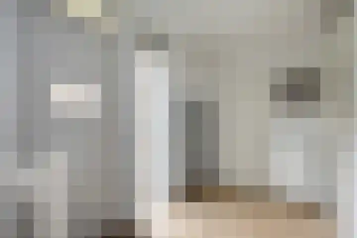 Dijkstoelstraat 12 Zwolle thumbnail 6