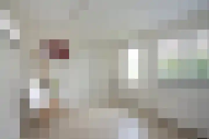 Dijkstoelstraat 12 Zwolle thumbnail 9