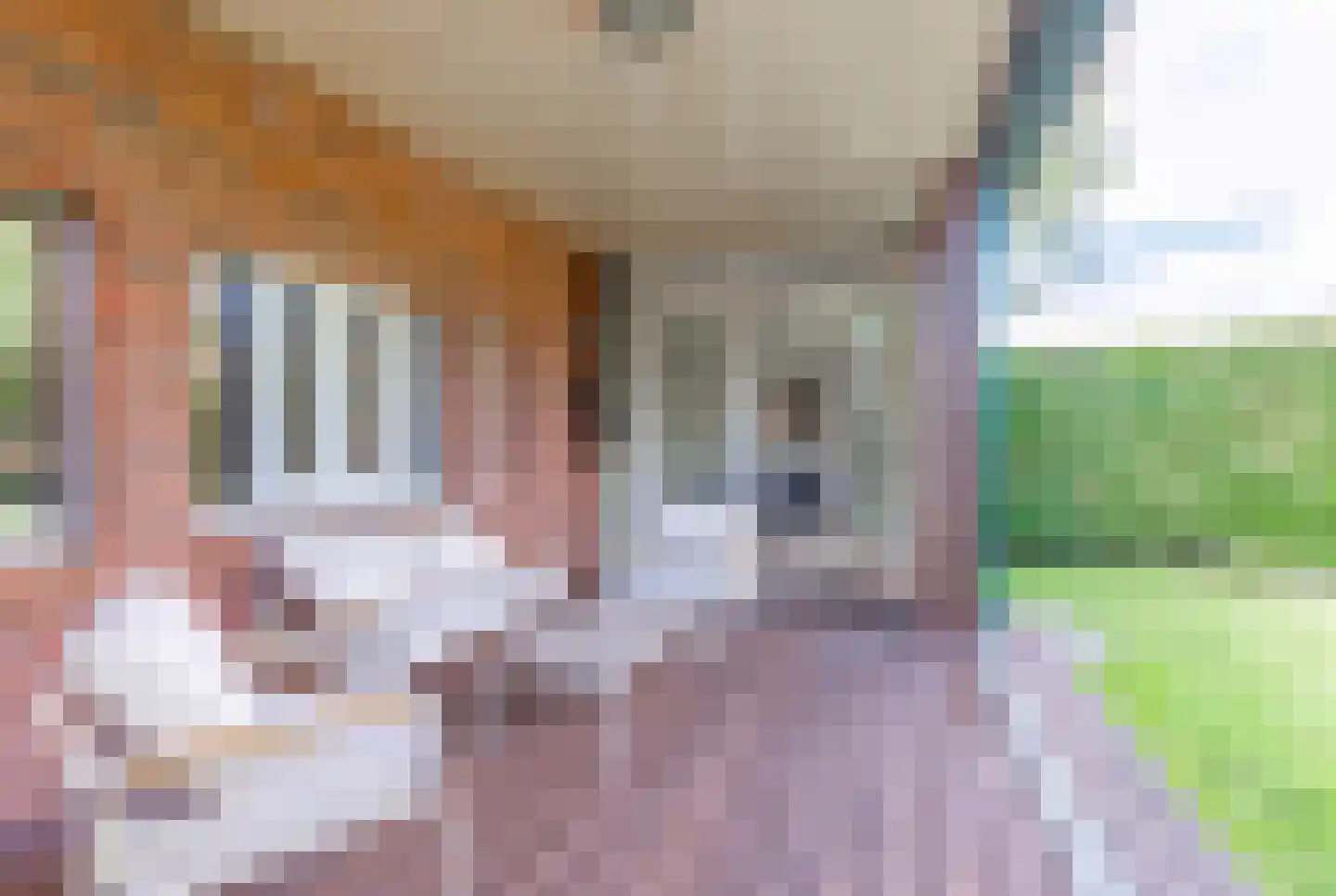 Dijkstoelstraat 16 Zwolle thumbnail 13