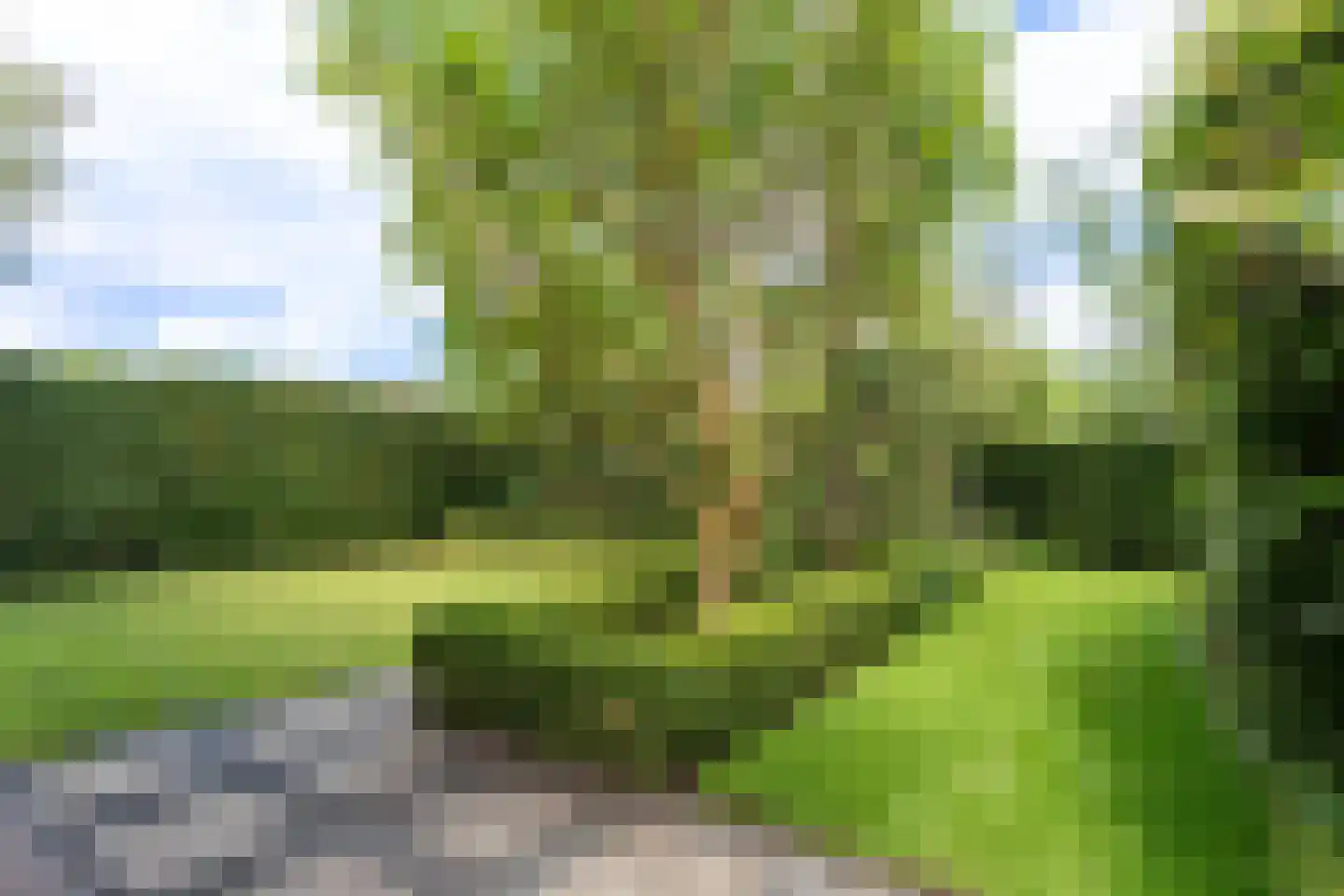 Dijkstoelstraat 16 Zwolle thumbnail 37