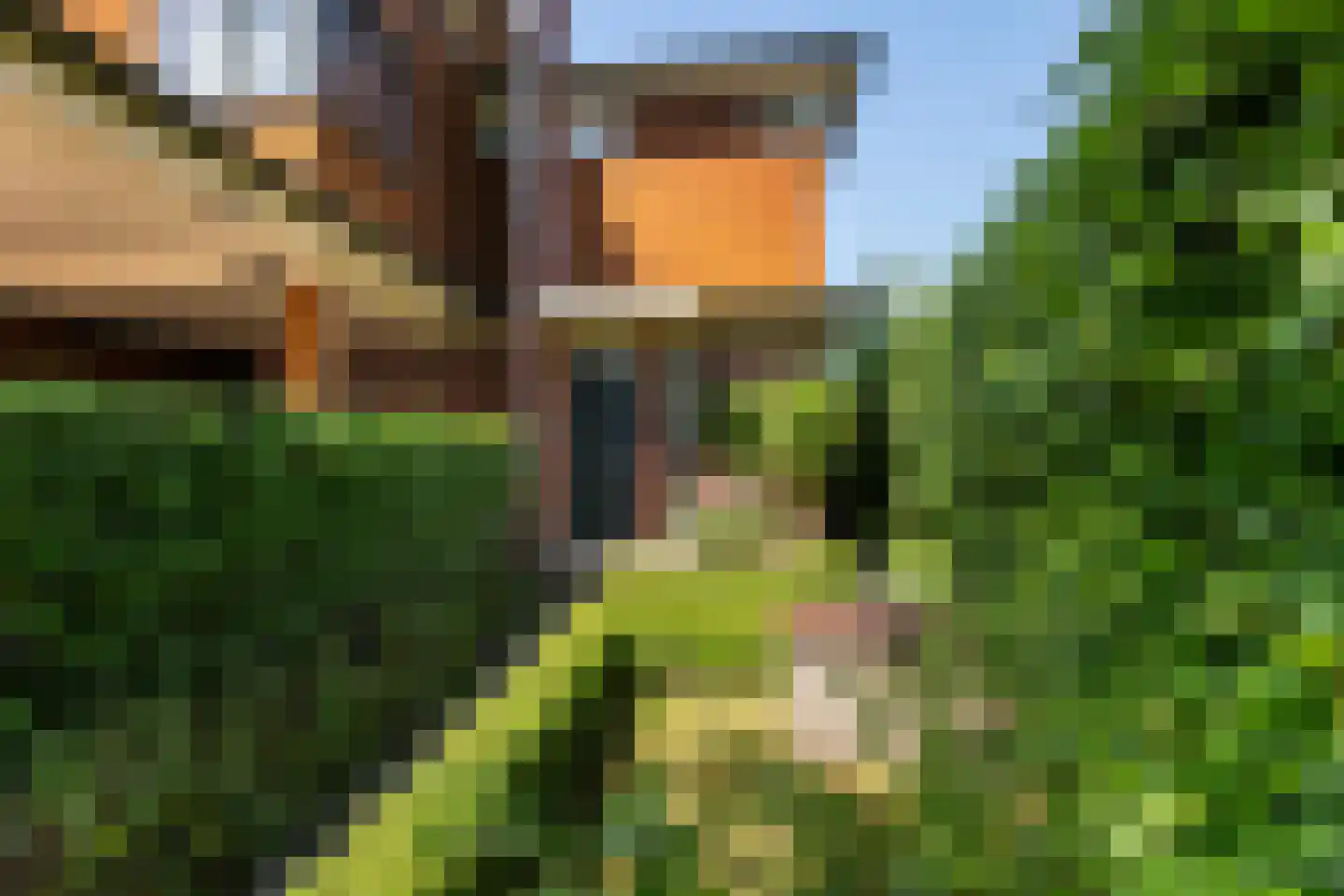 Dijkstoelstraat 16 Zwolle thumbnail 5