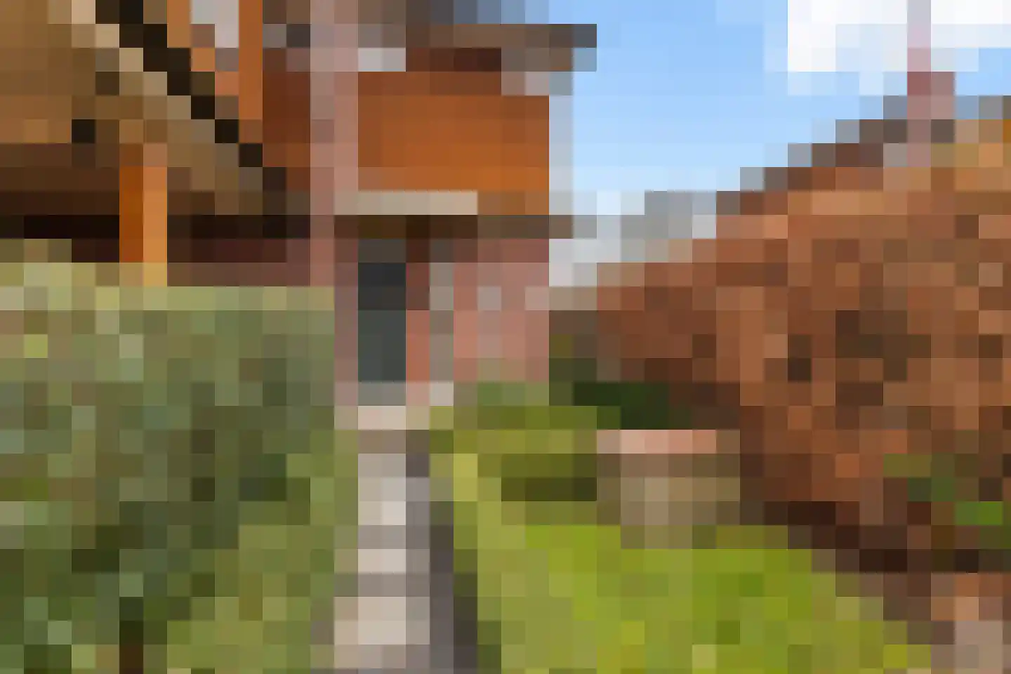Dijkstoelstraat 16 Zwolle thumbnail 5