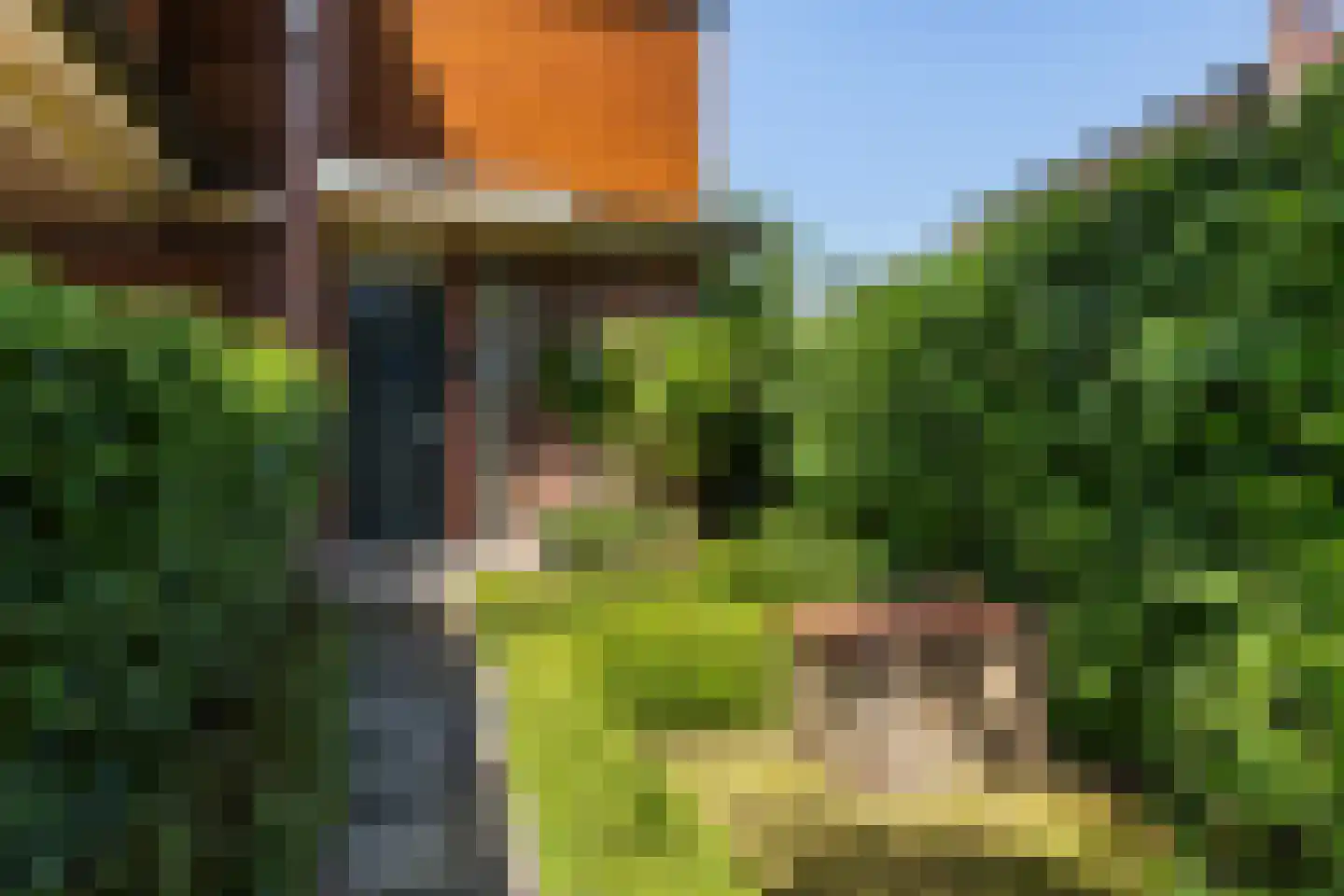Dijkstoelstraat 16 Zwolle thumbnail 6