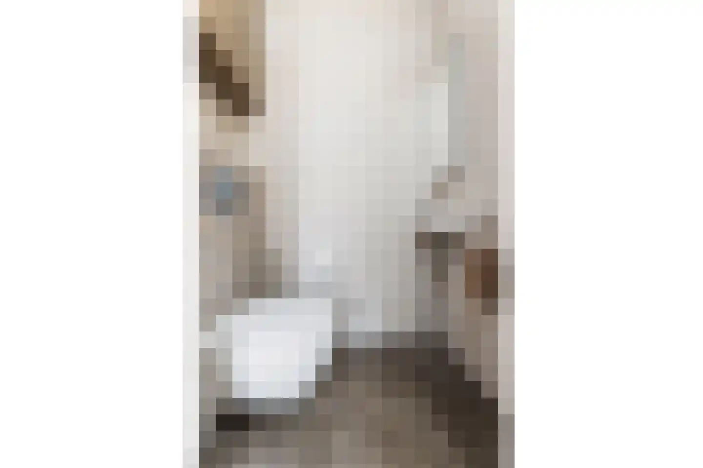 Dijkstoelstraat 16 Zwolle thumbnail 8
