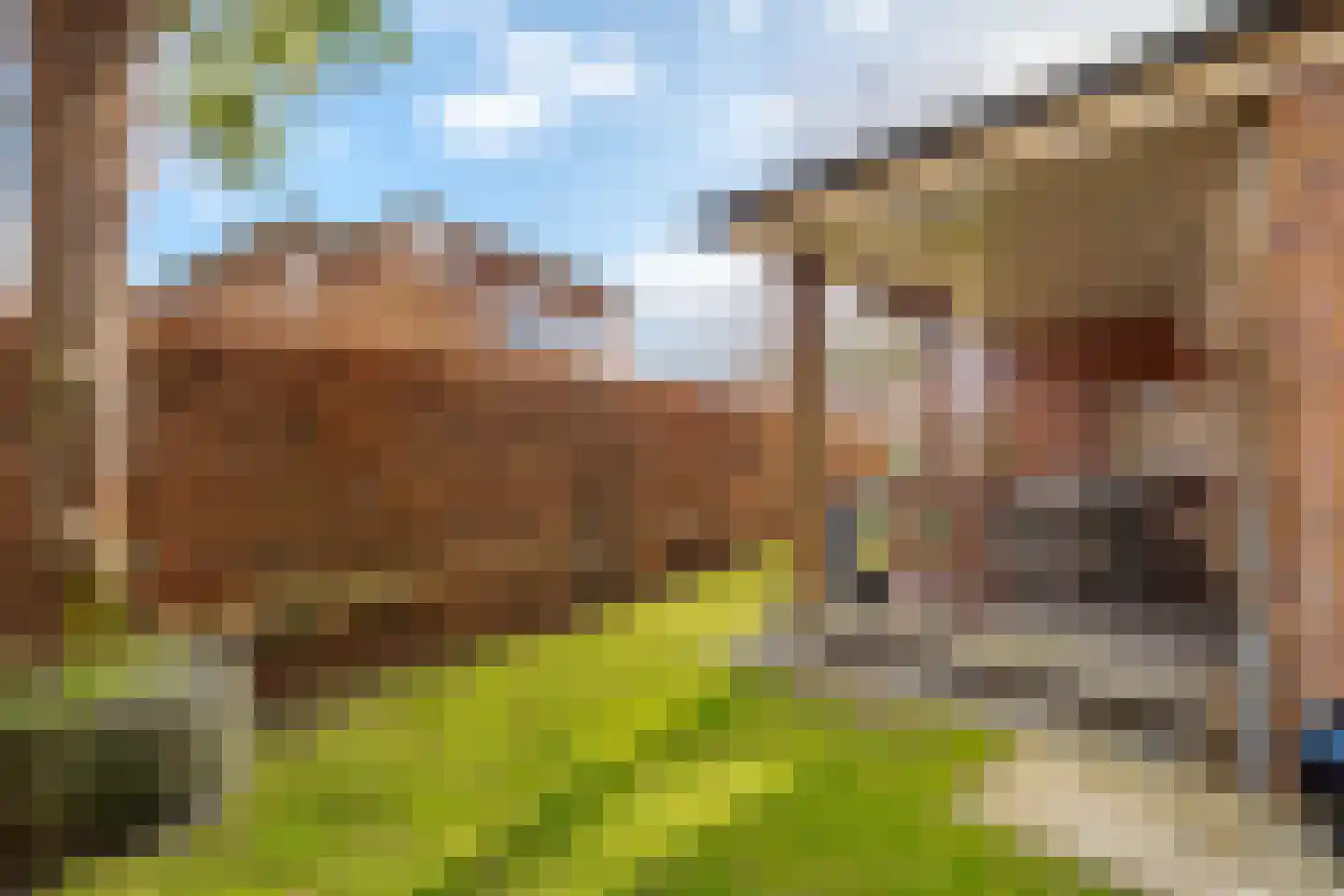 Dijkstoelstraat 20 Zwolle thumbnail 29