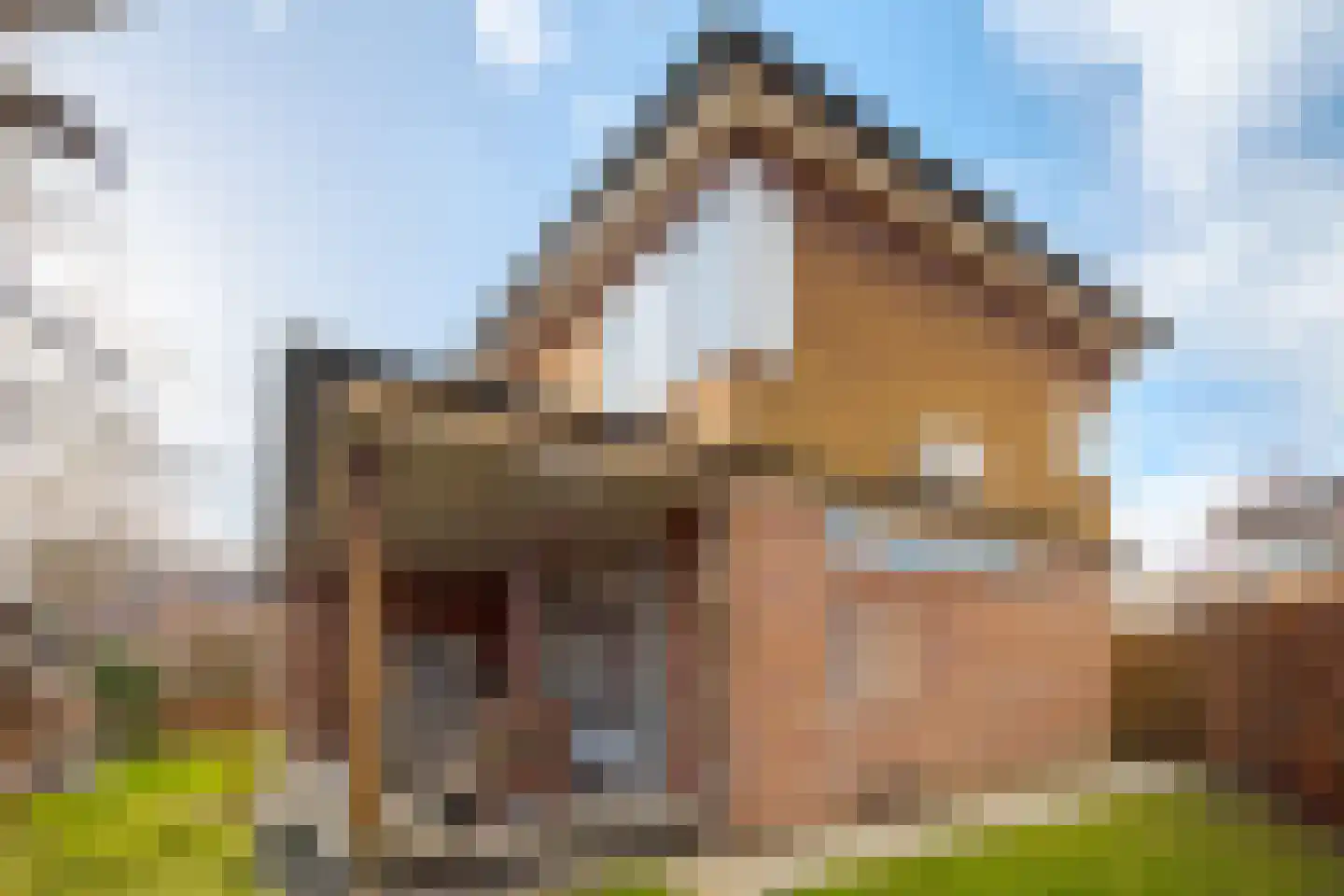 Dijkstoelstraat 20 Zwolle thumbnail 31