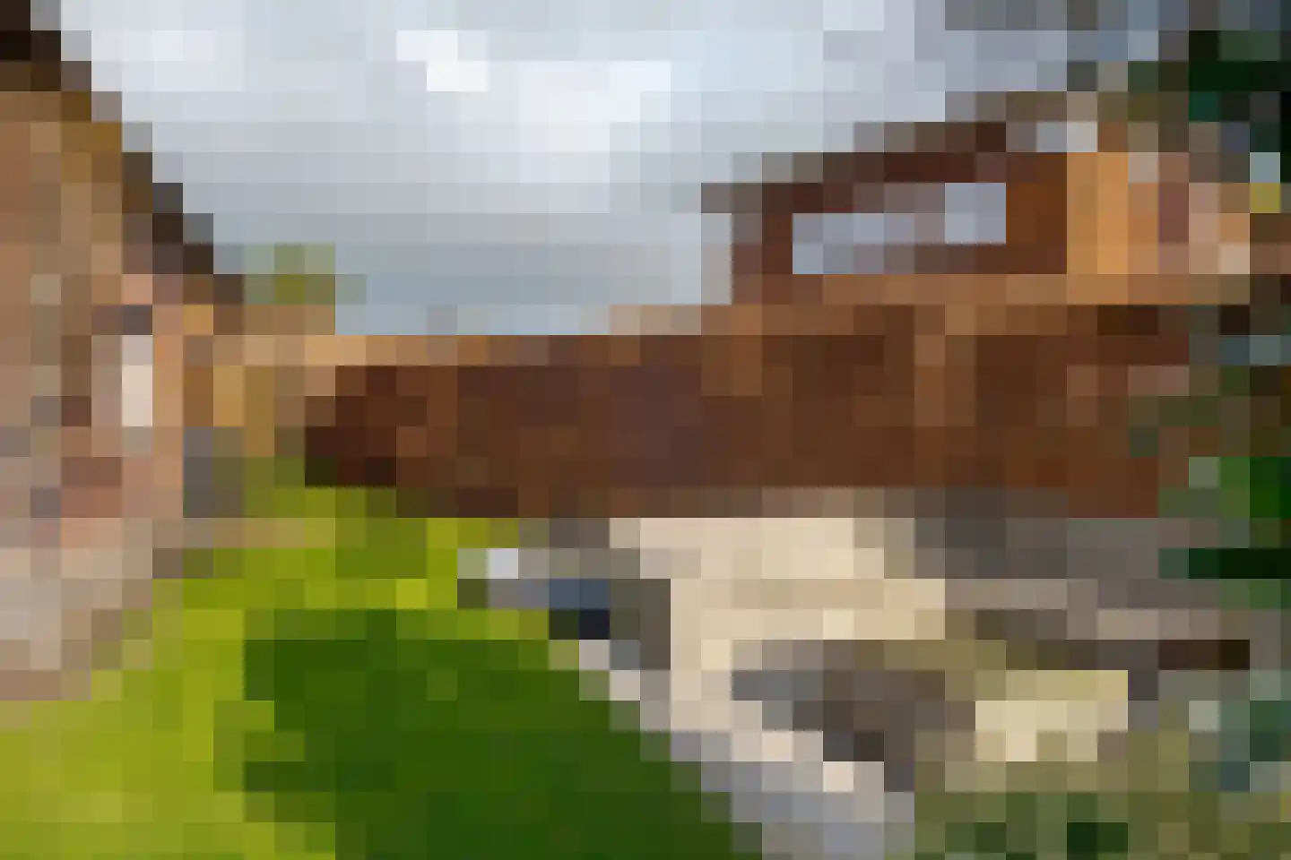 Dijkstoelstraat 20 Zwolle thumbnail 33