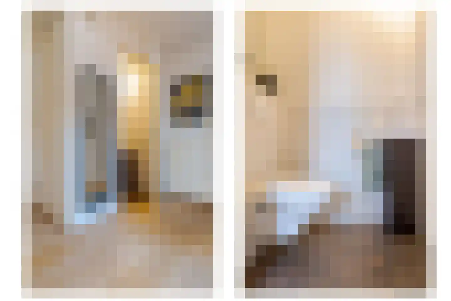Dijkstoelstraat 20 Zwolle thumbnail 35