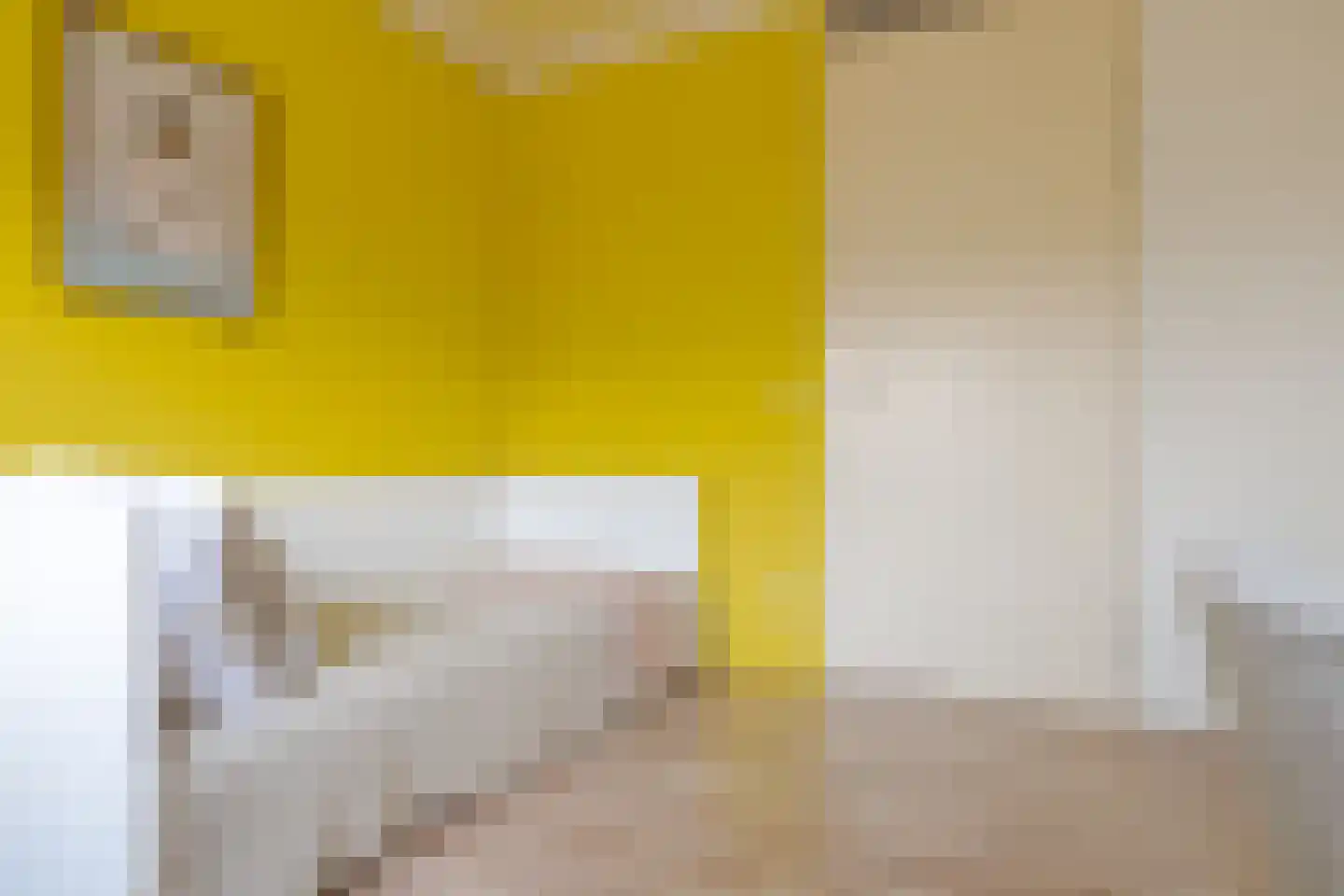 Dijkstoelstraat 20 Zwolle thumbnail 51