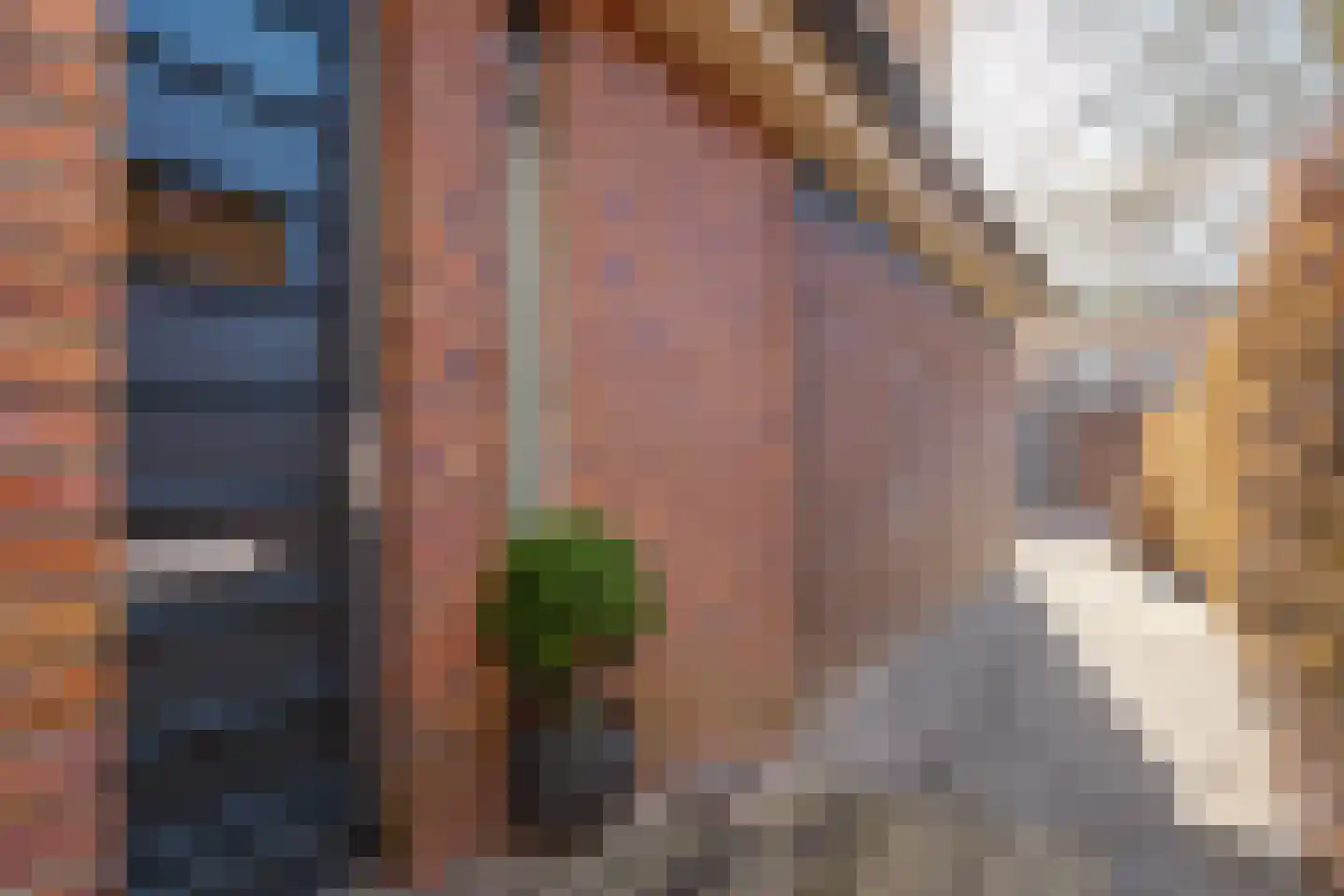 Dijkstoelstraat 20 Zwolle thumbnail 8