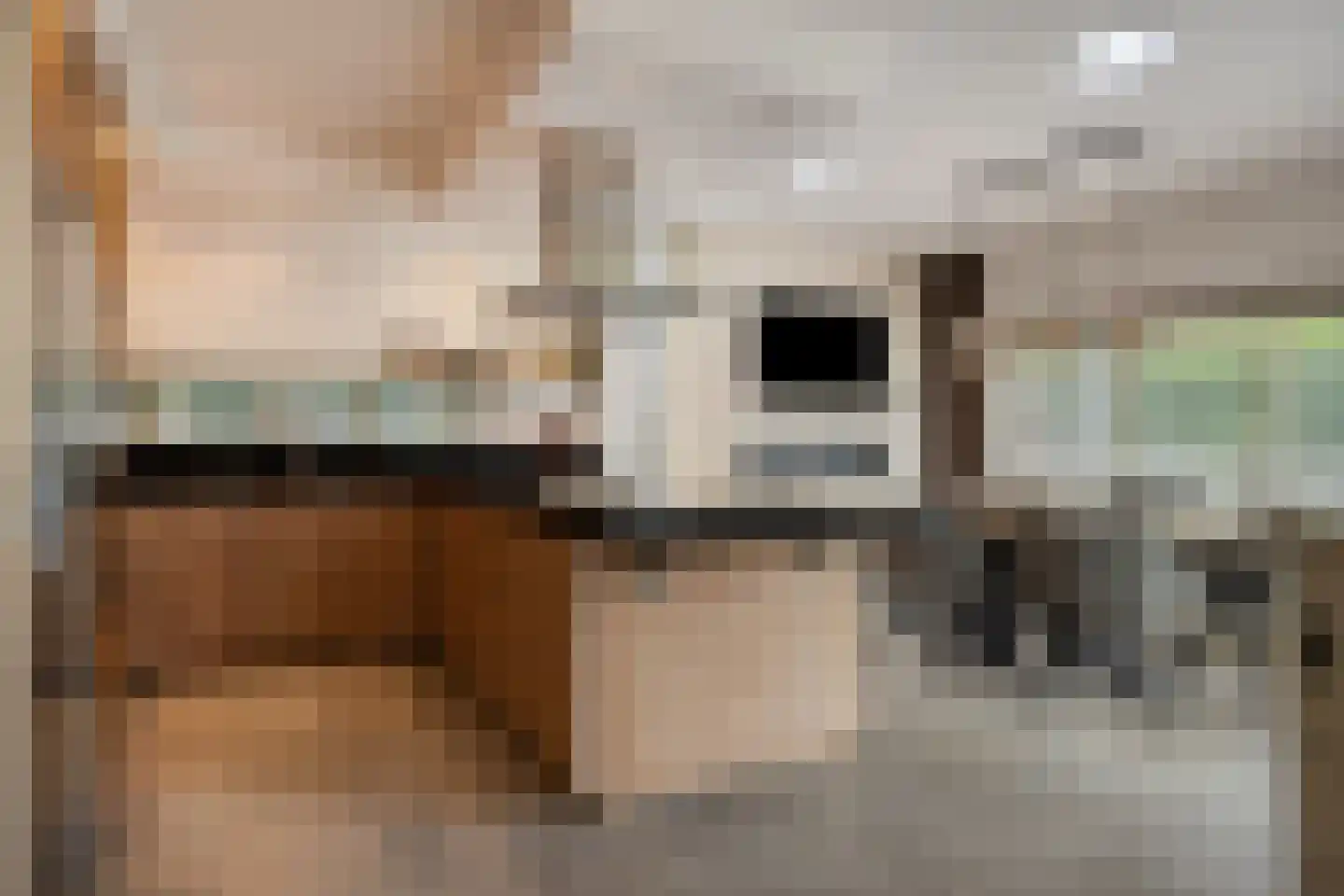Dijkstoelstraat 6 Zwolle thumbnail 12