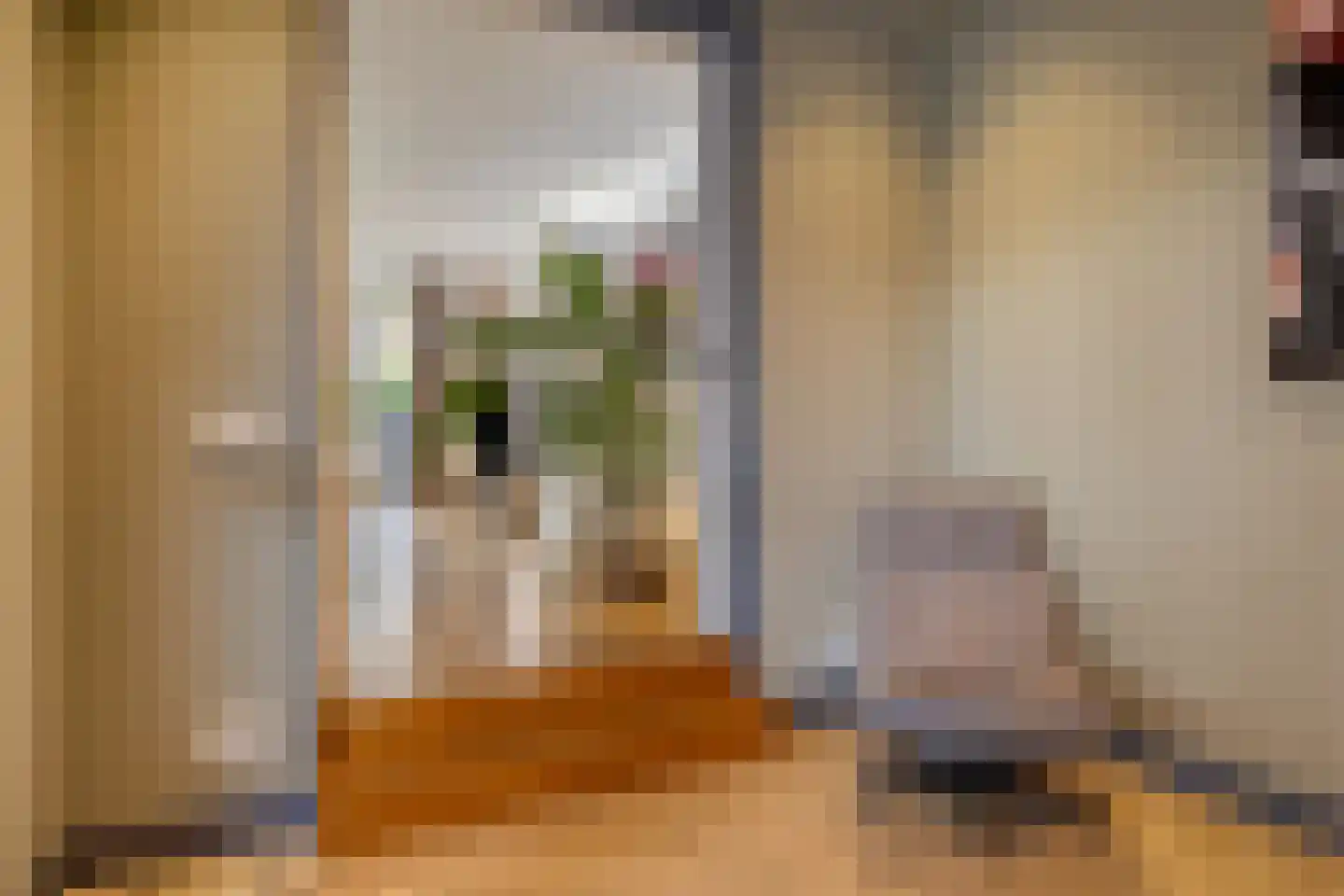 Dijkstoelstraat 6 Zwolle thumbnail 23
