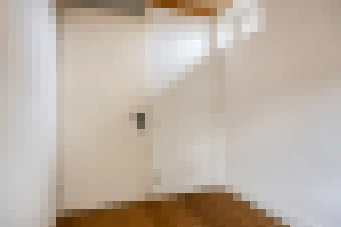 Dijkstoelstraat 6 Zwolle thumbnail 33