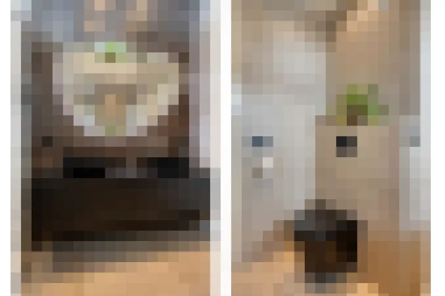 Dijkstoelstraat 6 Zwolle thumbnail 37