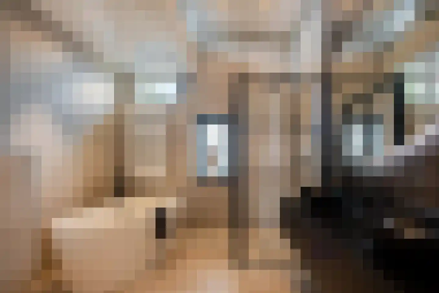 Dijkstoelstraat 6 Zwolle thumbnail 38