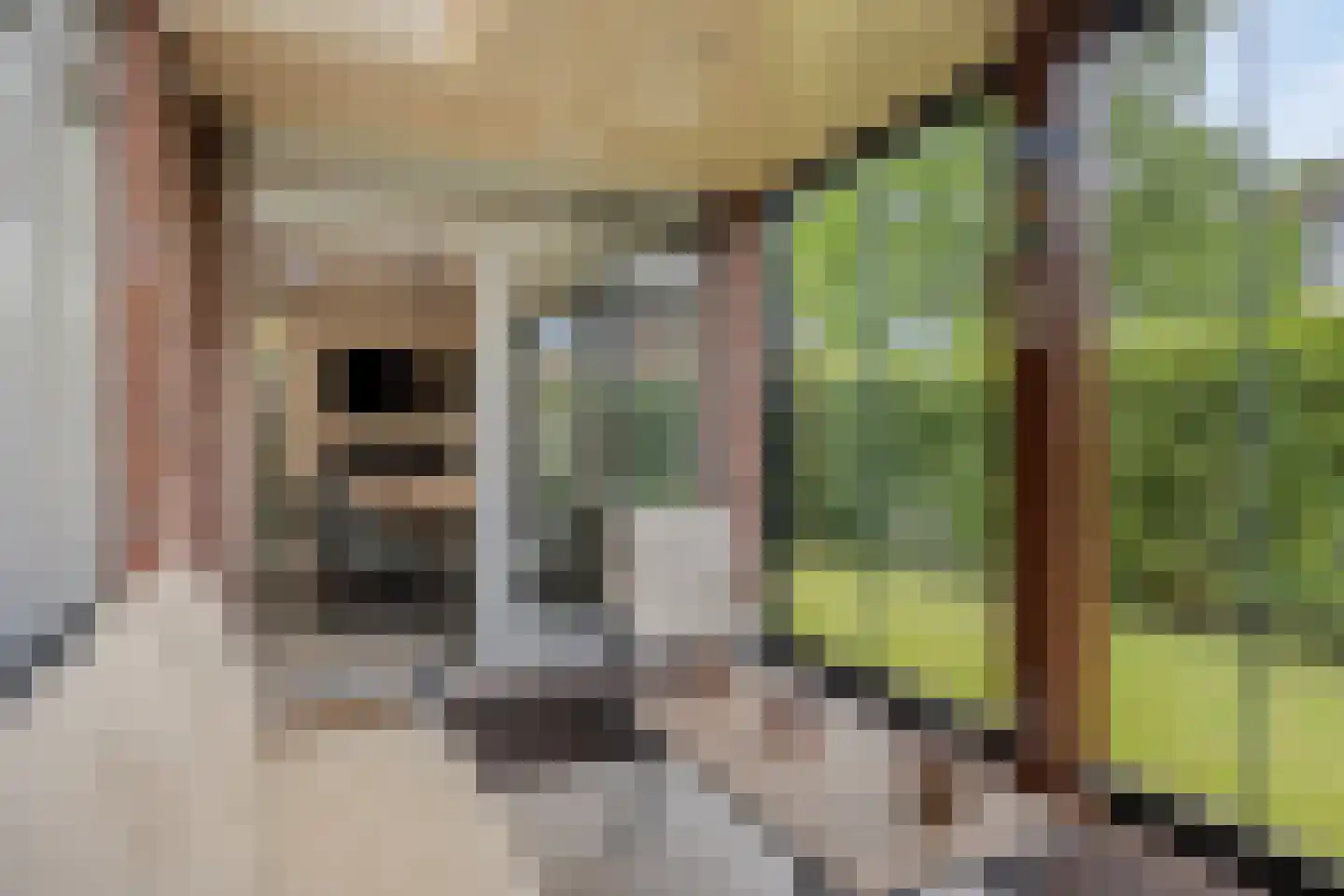 Dijkstoelstraat 6 Zwolle thumbnail 41