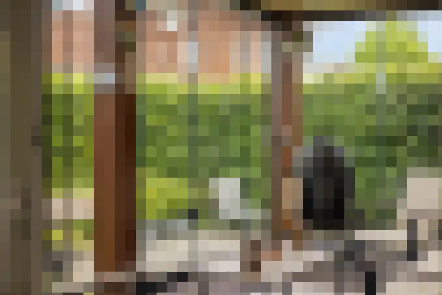 Dijkstoelstraat 6 Zwolle thumbnail 42