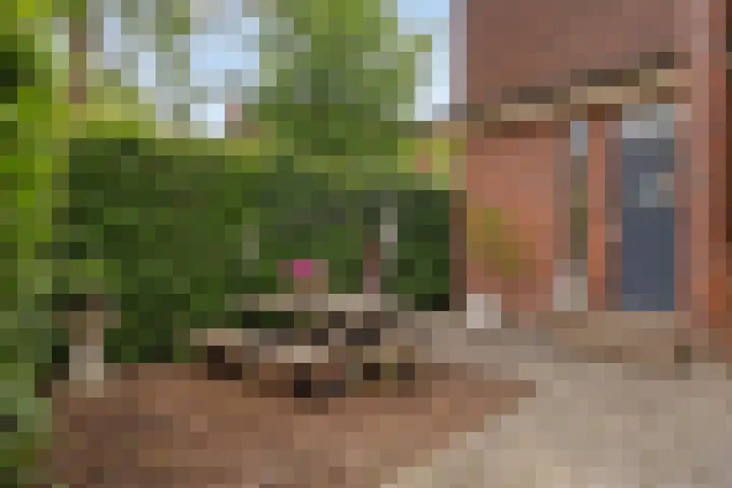Dijkstoelstraat 6 Zwolle thumbnail 6