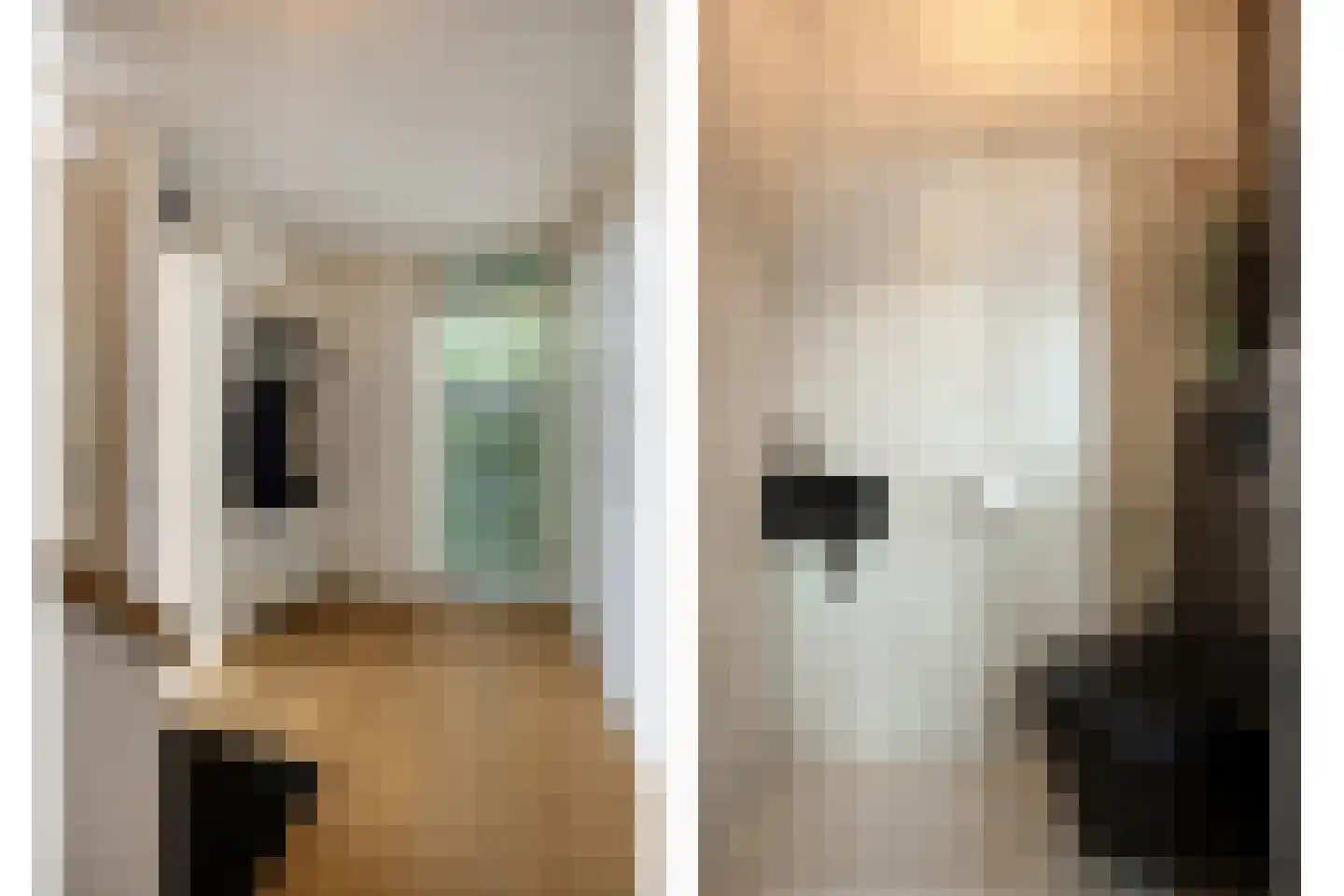 Dijkstoelstraat 6 Zwolle thumbnail 7