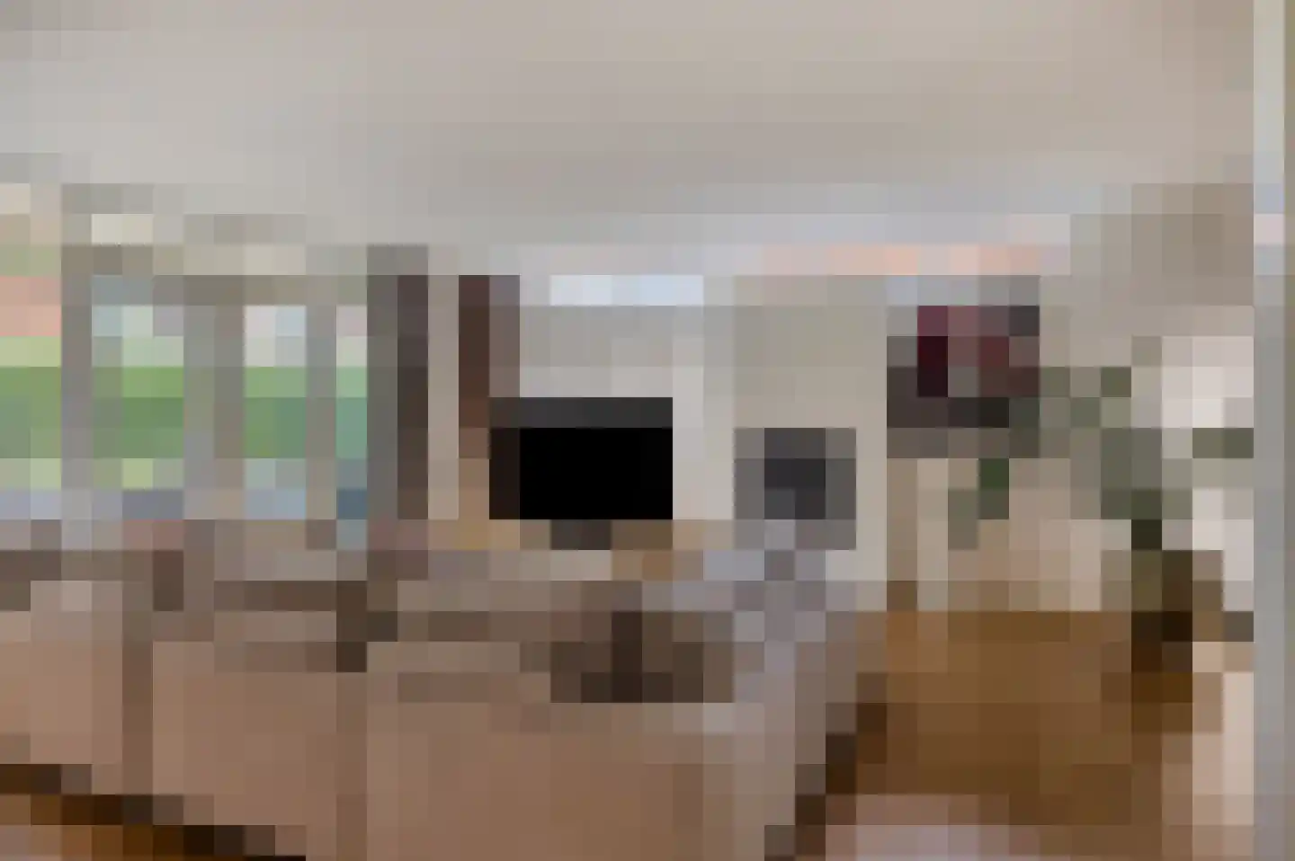 Dijkstoelstraat 6 Zwolle thumbnail 8