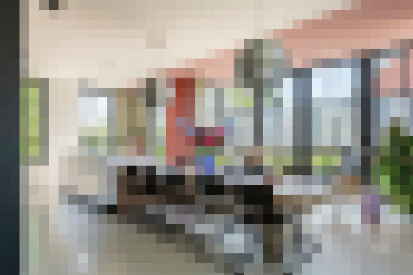 Dijkstoep 2 Rhenoy thumbnail 17