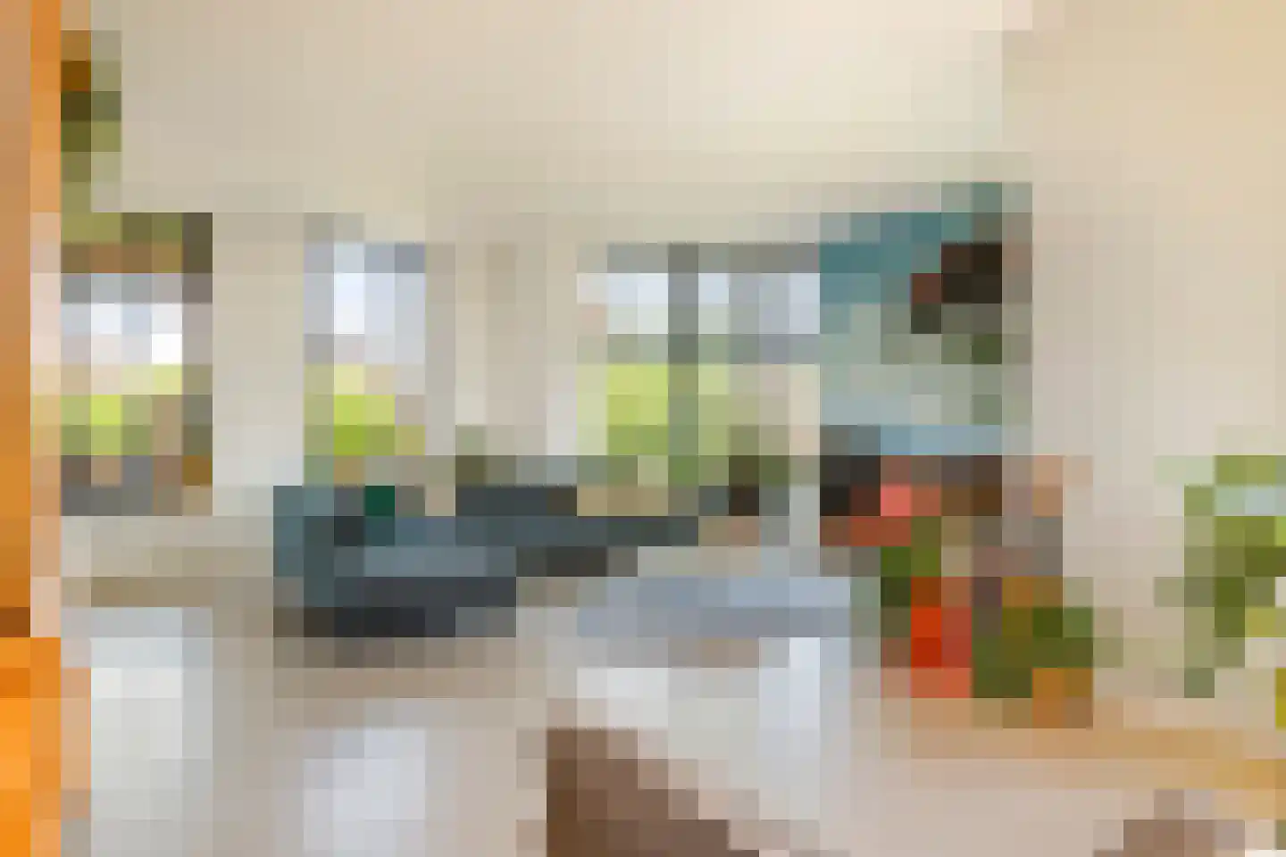 Dijkstoep 2 Rhenoy thumbnail 30