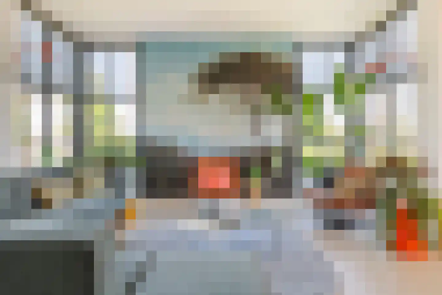 Dijkstoep 2 Rhenoy thumbnail 31