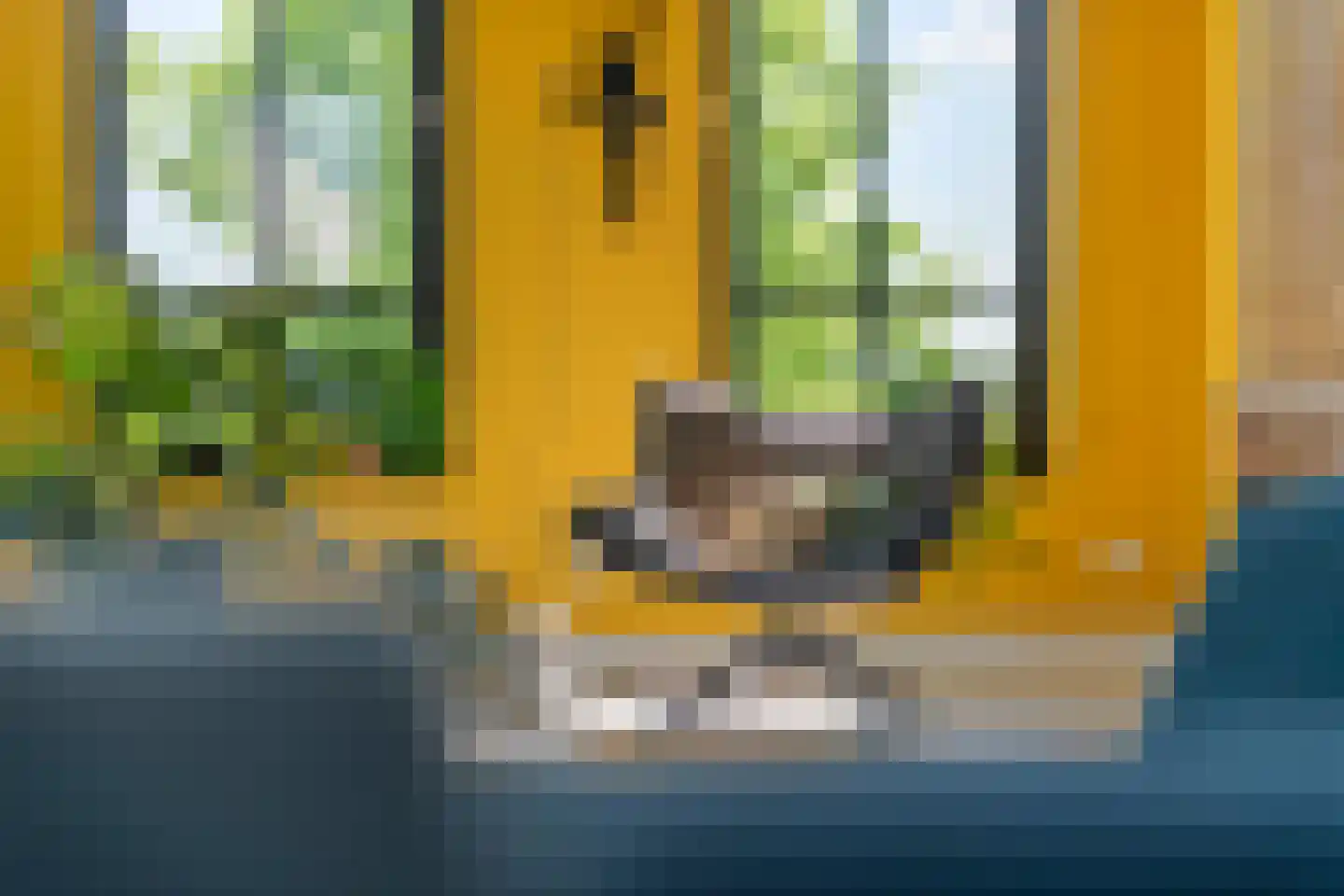 Dijkstoep 2 Rhenoy thumbnail 33